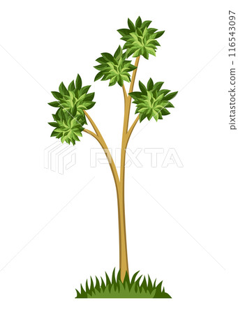 Stage of tree growth. Small tree growth with green leaf and branches. Illustration of business cycle development Stage of tree growth. Small tree growth with green leaf and branches. Illustration of business cycle development 116543097