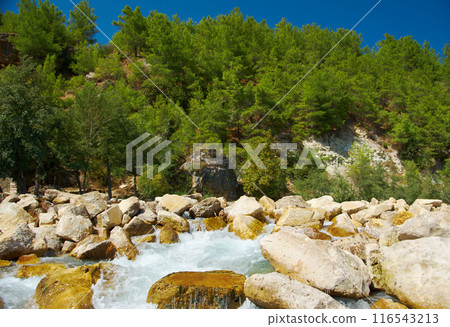 mountain river. 116543213