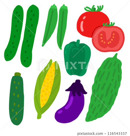 Illustration of summer vegetables Illustration of summer vegetables 116543337