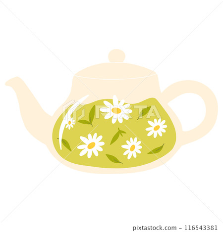 Teapot with green tea. Herbal tea in a glass teapot. Vector illustration. Isolated illustration on a white background. Teapot with green tea. Herbal tea in a glass teapot. Vector illustration. Isolated illustration on a white background. 116543381