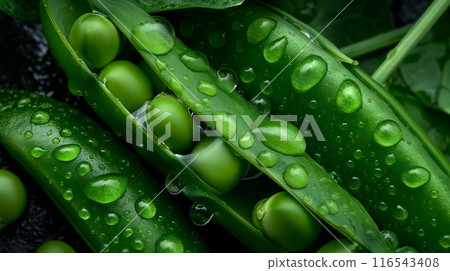 Close-Up of Fresh Green Peas in Pods Close-Up of Fresh Green Peas in Pods 116543408