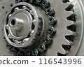 Freewheel or overrunning clutch 116543996