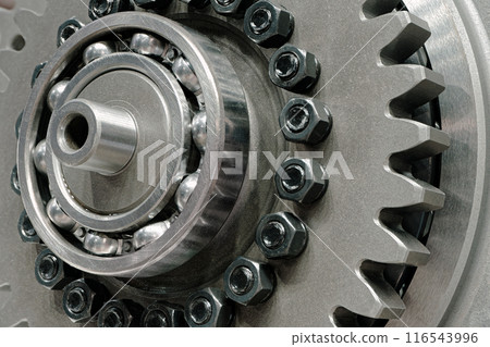Freewheel or overrunning clutch 116543996