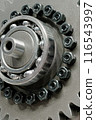 Freewheel or overrunning clutch 116543997
