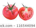 Medium tomato cross section cut out 116544094