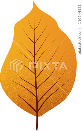 Vivid Autumn Falling Leaf Vivid Autumn Falling Leaf 116544131