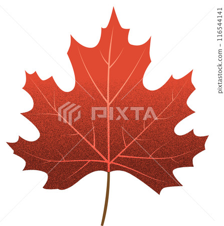 Vivid Autumn Falling Leaf 116544141