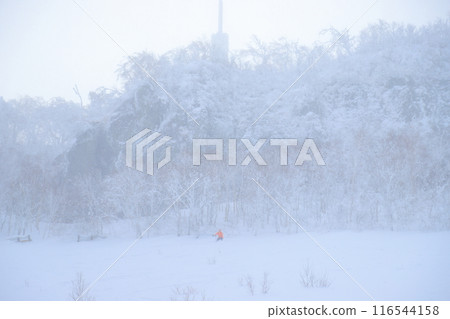 野外滑雪 野外滑雪 116544158
