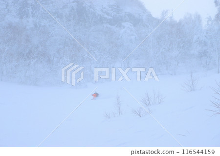 野外滑雪 116544159