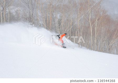 野外滑雪 野外滑雪 116544168