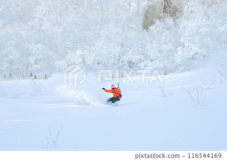 野外滑雪 116544169