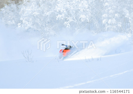 野外滑雪 野外滑雪 116544171