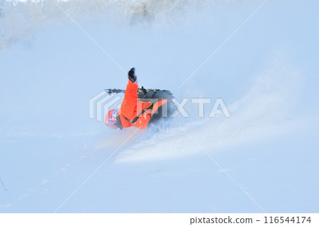 野外滑雪 野外滑雪 116544174