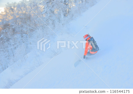 野外滑雪 野外滑雪 116544175