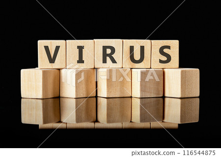 VIRUS word alphabet letters assembled from wooden cubes on a glossy black background 116544875
