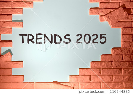 Plan finances investments and savings. TRENDS 2025 on a white wall under a decorative brick Plan finances investments and savings. TRENDS 2025 on a white wall under a decorative brick 116544885