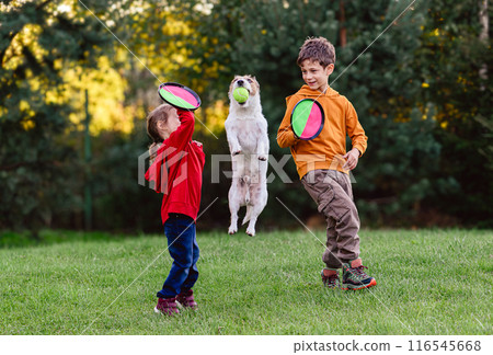 Dog wins competition against children by catching a ball. Family playing with toss and catch set in garden 116545668