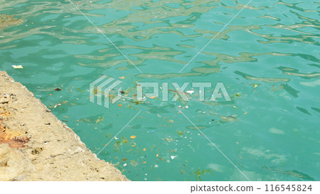 dirty water garbage ocean access wood pattern sea brown outdoor muddy view texture wave river 116545824
