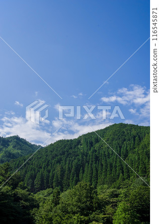 Summer material: Summer mountains and summer sky 116545871
