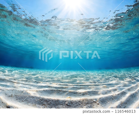 Undersea world. Landscape underwater in the sea or ocean. Marine nature background. 116546013