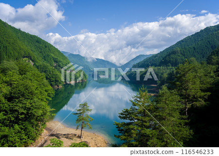 "A magnificent summer view" A lakeside landscape surrounded by greenery 116546233