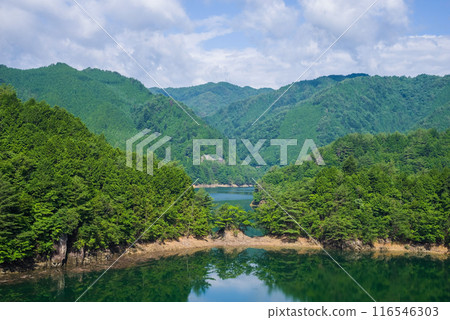 《Amazing summer scenery》Lush greenery of the dam lake in summer, view from Maze Ohashi Bridge 《Amazing summer scenery》Lush greenery of the dam lake in summer, view from Maze Ohashi Bridge 116546303