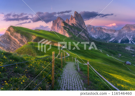 Seceda mountain at beautiful sunset in summer in Dolomites, Italy Seceda mountain at beautiful sunset in summer in Dolomites, Italy 116546460