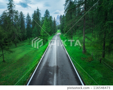 Aerial view of wet road and green forest in summer. Top view Aerial view of wet road and green forest in summer. Top view 116546473