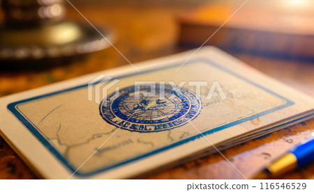 Official passport visas stamps on sepia textured, vintage travel background. 116546529