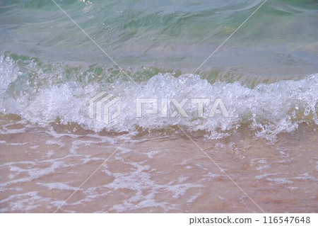 一個海灘 一個海灘 116547648