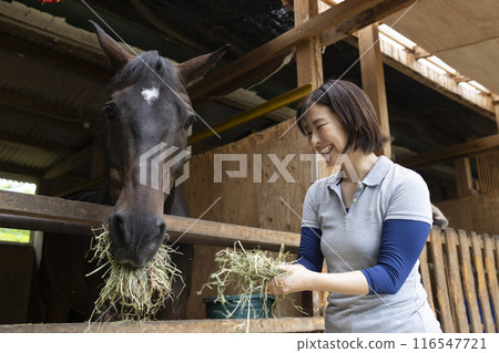 Woman taking care of a horse Woman taking care of a horse 116547721
