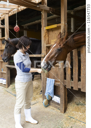 照顧一匹馬的女人 116547733