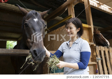 照顧一匹馬的女人 116547735