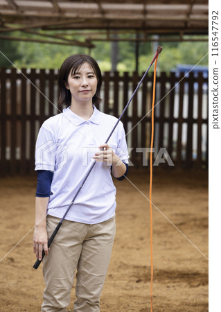 Woman taking care of a horse 116547792