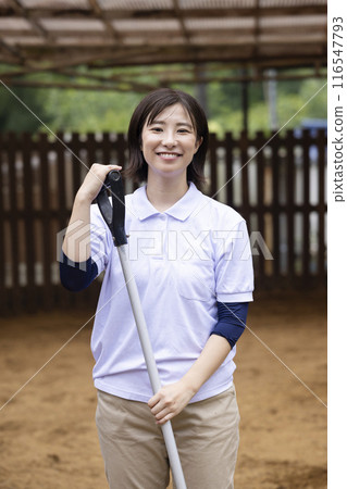 Woman taking care of a horse 116547793