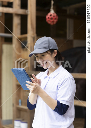Woman taking care of a horse Woman taking care of a horse 116547802
