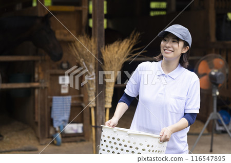 Woman taking care of a horse 116547895