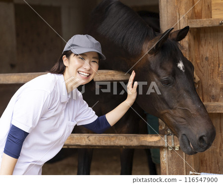 Woman taking care of a horse 116547900