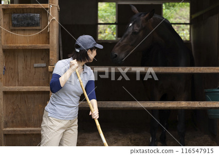 照顧一匹馬的女人 116547915