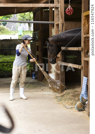 照顧一匹馬的女人 116547924