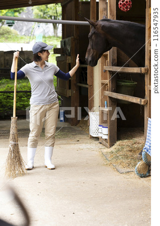 Woman taking care of a horse Woman taking care of a horse 116547935