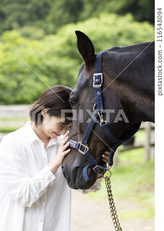 Woman interacting with a horse 116548094