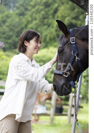 Woman interacting with a horse 116548100