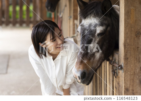 Woman interacting with a horse Woman interacting with a horse 116548123