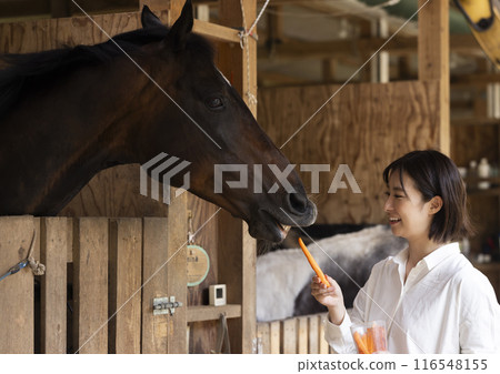 一個女人給馬胡蘿蔔 116548155