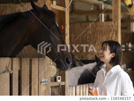 一個女人給馬胡蘿蔔 116548157