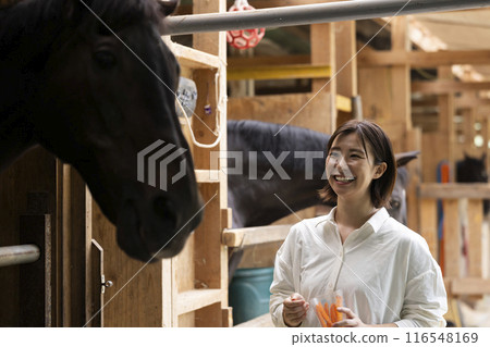 Woman feeding a carrot to a horse Woman feeding a carrot to a horse 116548169