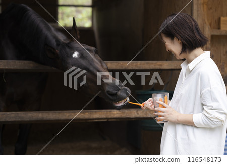 一個女人給馬胡蘿蔔 116548173