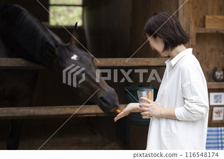 一個女人給馬胡蘿蔔 116548174