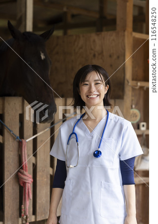 獸醫檢查馬 116548250